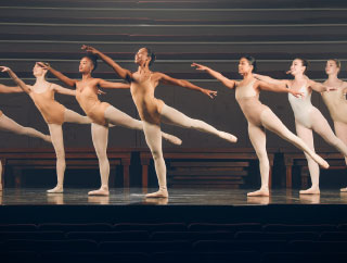 Advanced / Professional Ballet Course